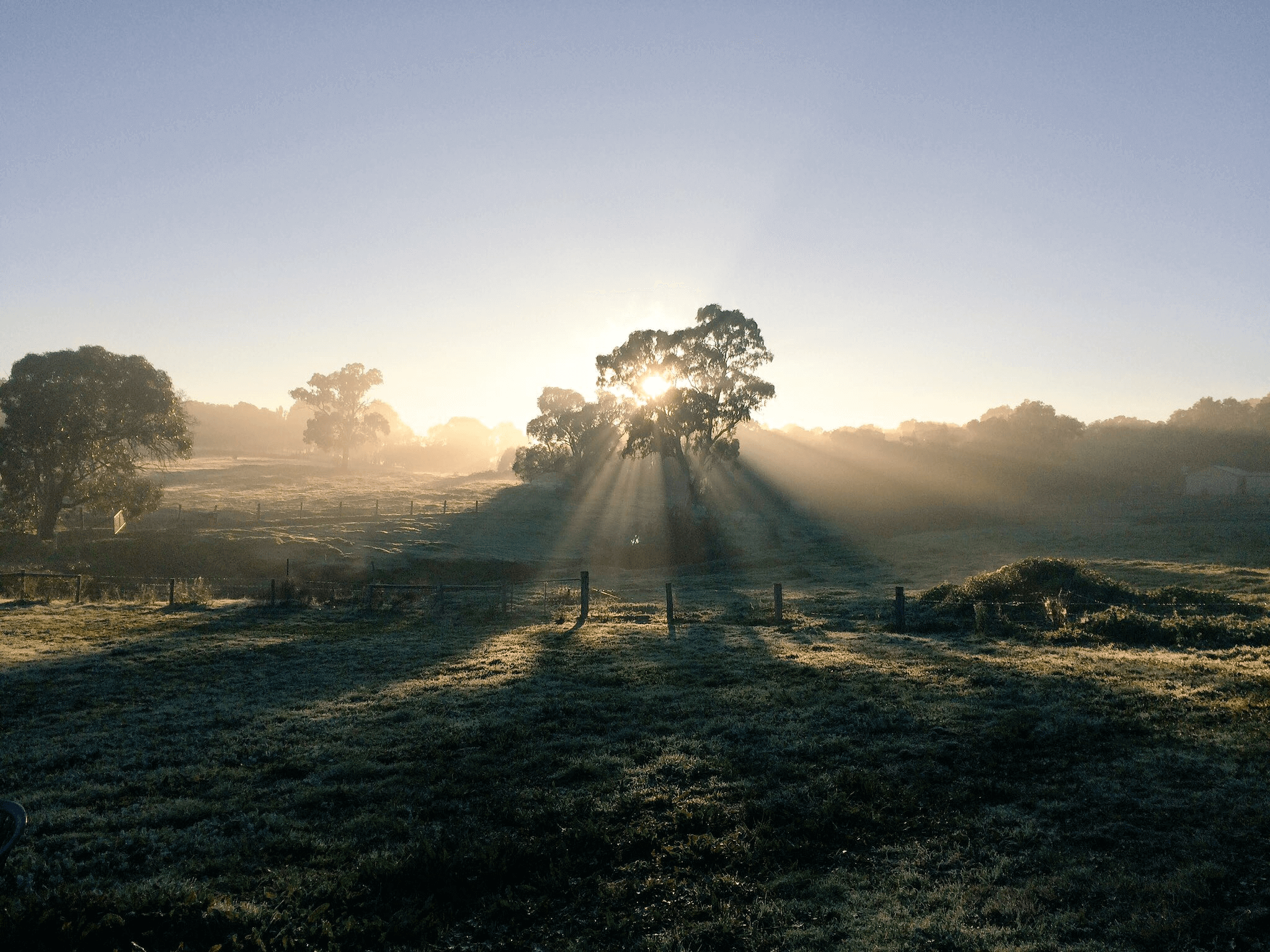 Dog Boarding Yarrambat